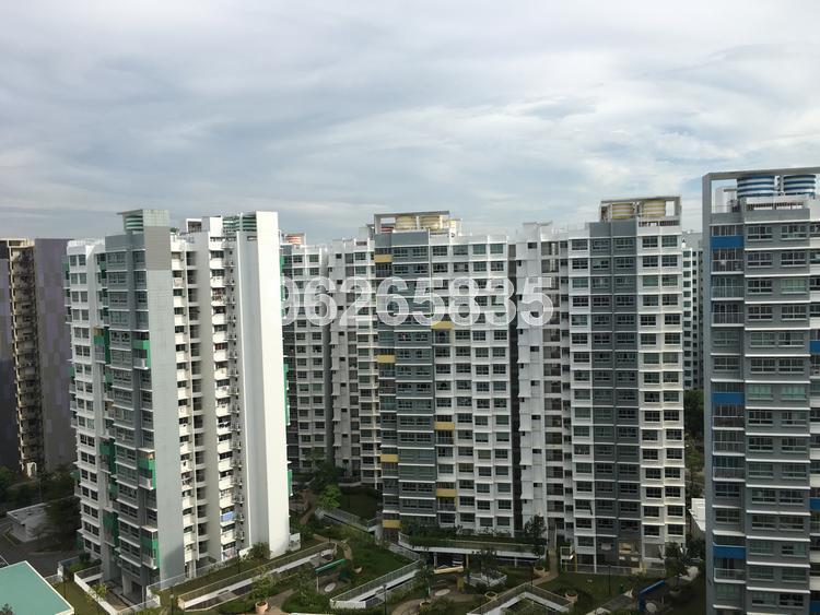 Blk 624A Punggol Central (Punggol), HDB 4 Rooms #153327532